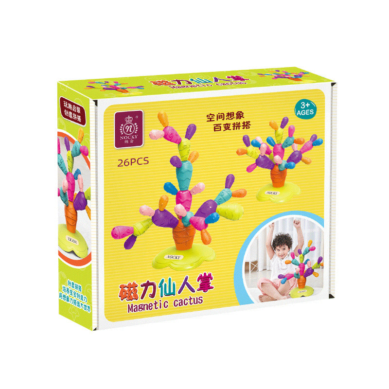 Variety Magnetic Cactus Building Blocks Toy